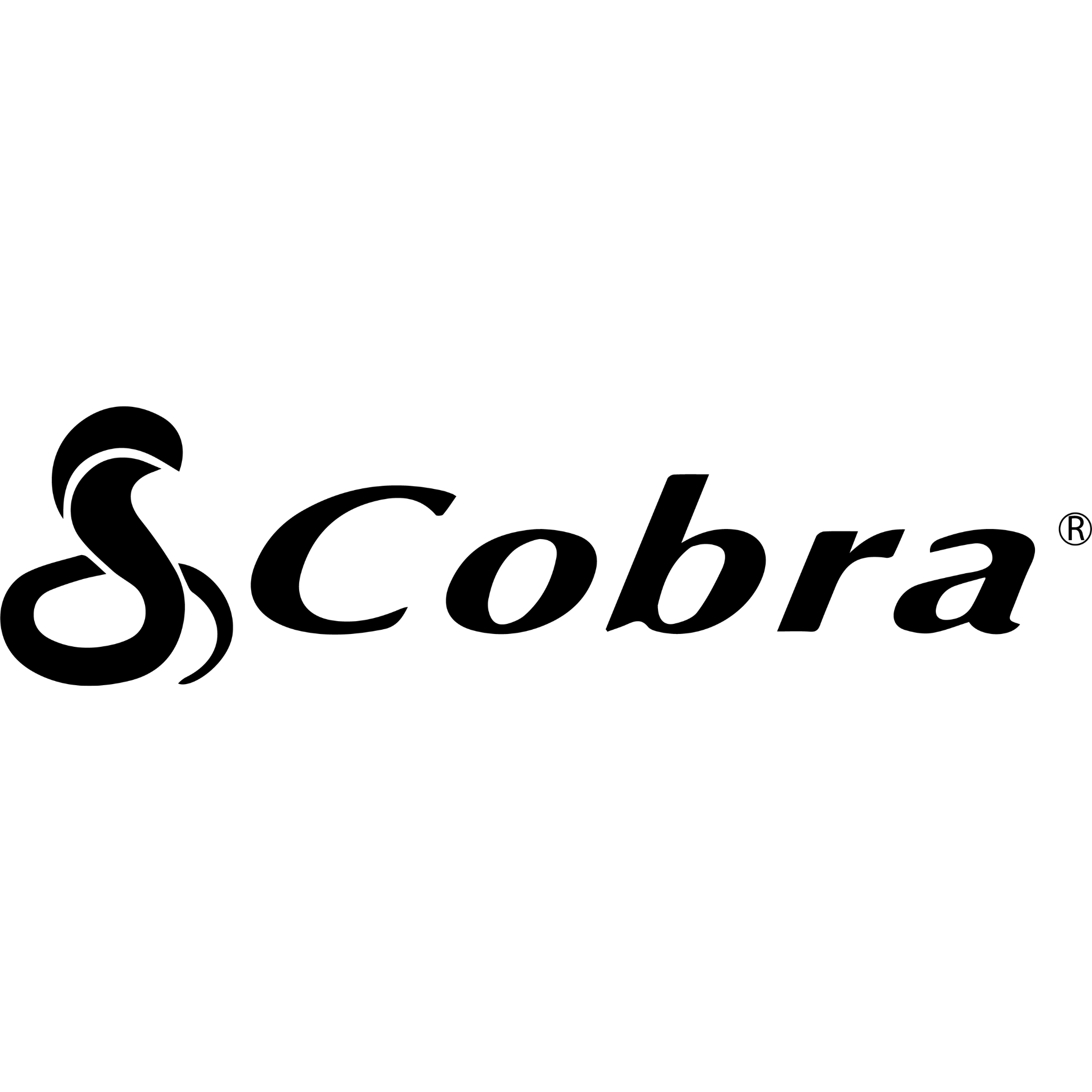 Cobra Electronics