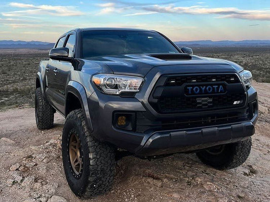 Westcott Designs Bilstein Collar Kit Tacoma