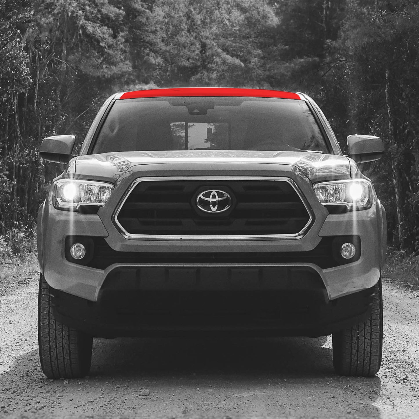 Taco Vinyl Tacoma PPF Roof Rack Guard | '16 - '23 Tacoma