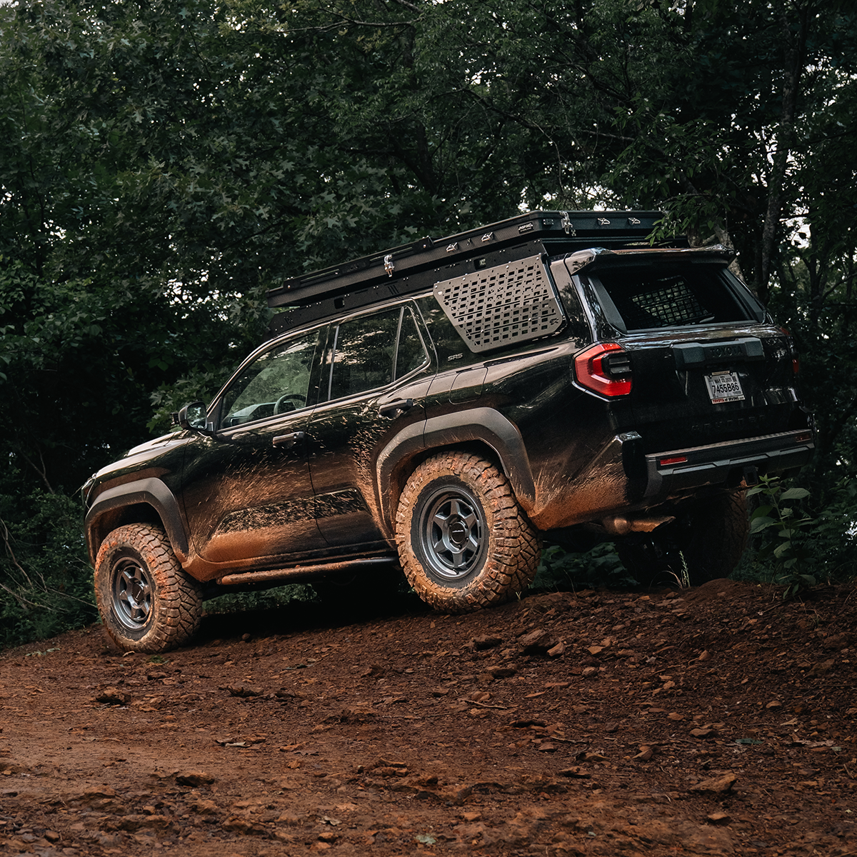 Cali Raised T4R 6th Gen Exterior Window Molle Panel | '25+ 4Runner