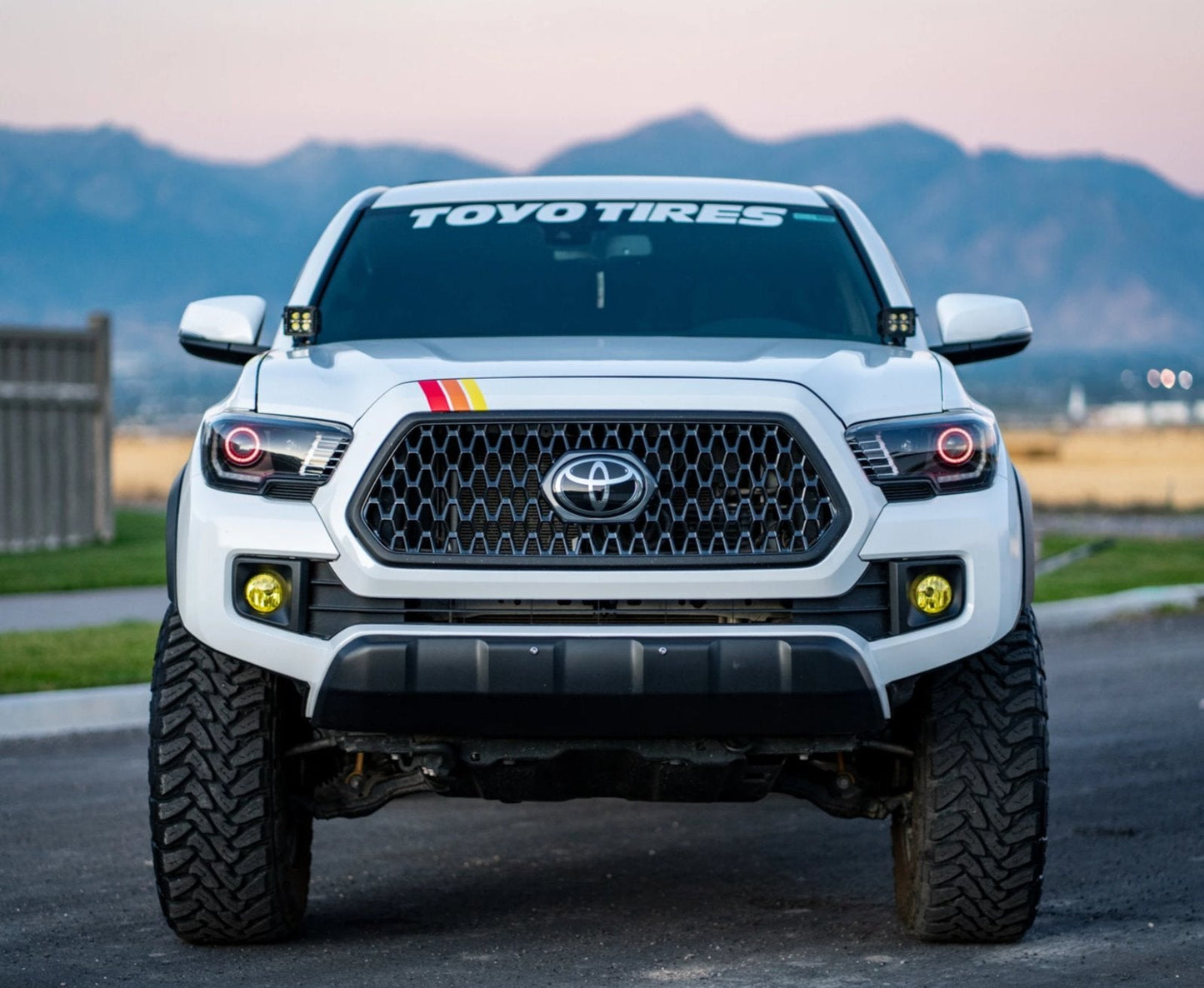 Taco Vinyl Small Universal Stripes