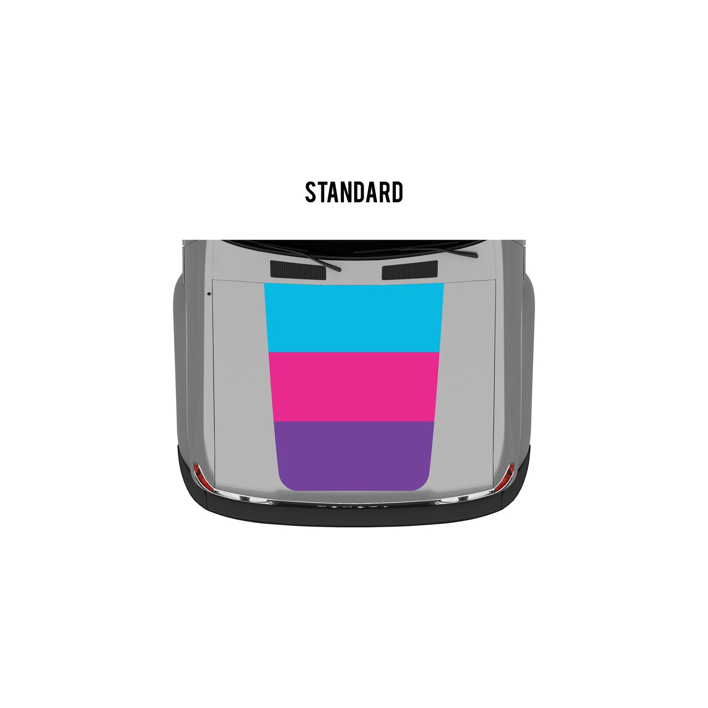 Taco Vinyl 80 Series Land Cruiser Retro Stripes