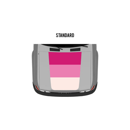 Taco Vinyl 80 Series Land Cruiser Retro Stripes