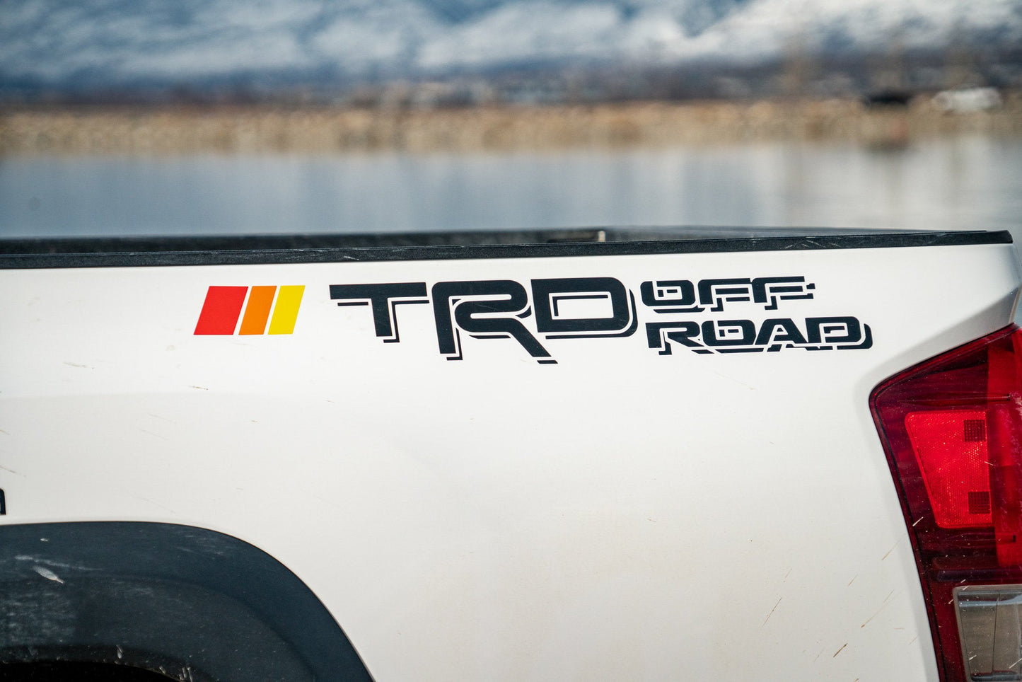 Taco Vinyl Rear Classic Decals